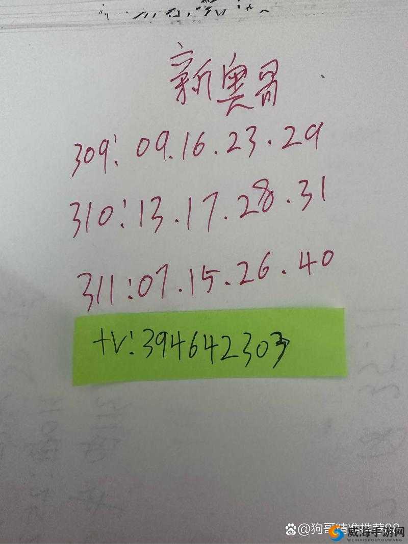 澳门最快开奖记录今天开的什么:探寻背后的数字奥秘与规律