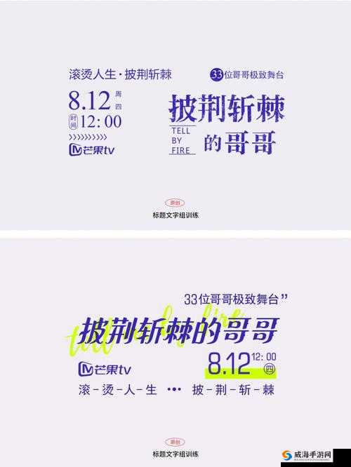 男女 WW WWW XX XX XXXX:一段充满挑战与机遇的故事