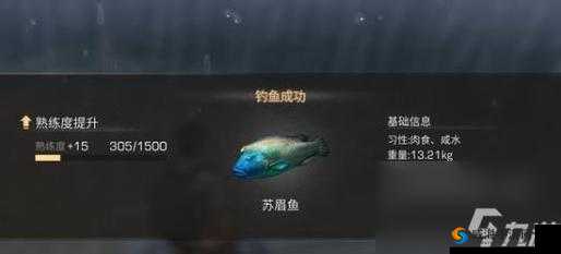 明日之后，苏眉鱼的魅力与获取攻略