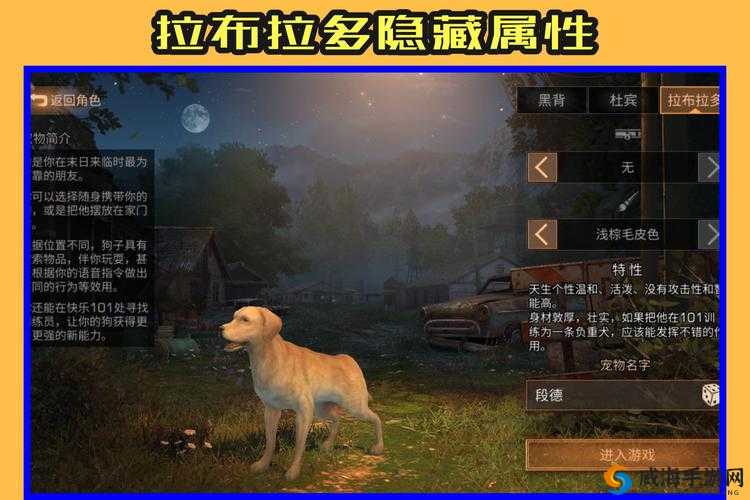 明日之后三条狗怎么选?什么狗最实用在资源管理中的重要性及策略