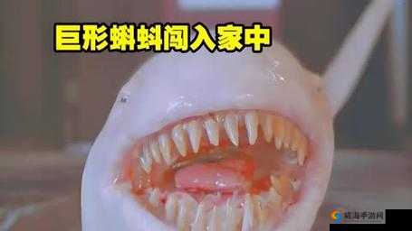 蝌蚪巨窝在线视频：带你领略独特的视觉盛宴