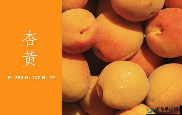 黄 7777 色:一种独特且充满魅力的色彩表现