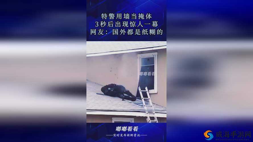 璜铯录像仙踪林：探寻神秘之域的独特影像世界