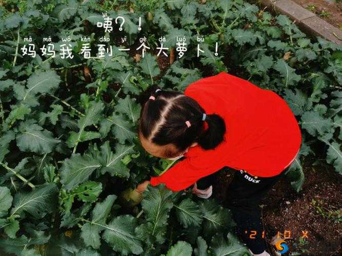 挤牛奶拔萝卜怎么拔操作之详细步骤与技巧分享