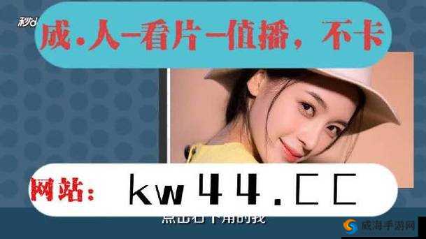 麻花豆传媒MV在线观看网站:带你领略精彩视频世界