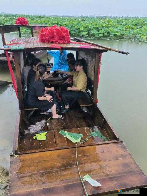 老人船上弄雨荷与普通版对比之别样精彩呈现