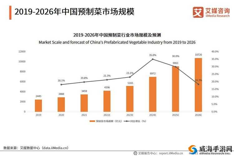 精品二线三线品牌的独特魅力与市场发展趋势探讨