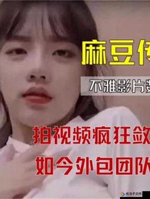 麻豆视传媒:优质影视资源的精彩呈现