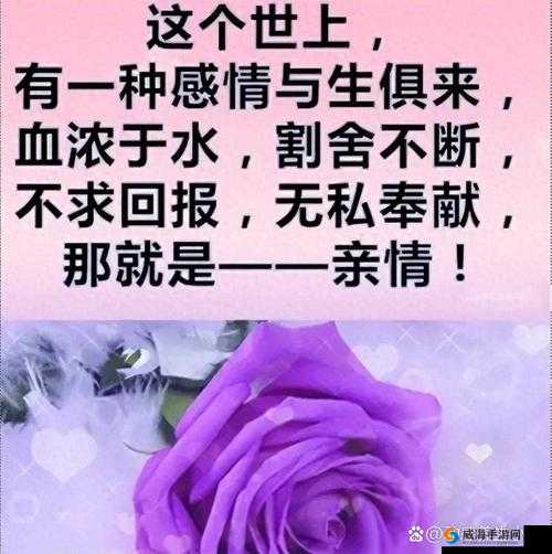 家族共享OMEGA:共筑亲情纽带传递温暖与爱