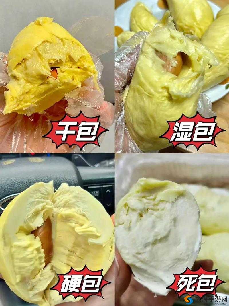 榴莲推广app网站入口:带你走进榴莲的美味世界