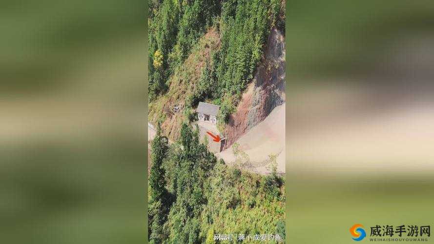 17c 黑密泄料独家揭秘：深度剖析事件背后的真相