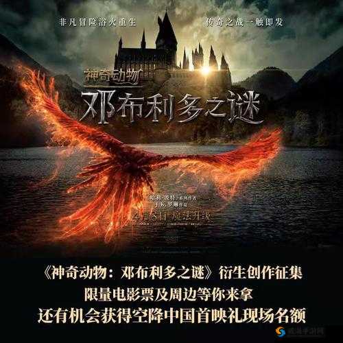 法国女海军满天星:探秘其背后的传奇与荣耀历程