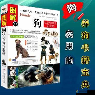 狗胶配方大全高清视频:详尽步骤与实用技巧展示
