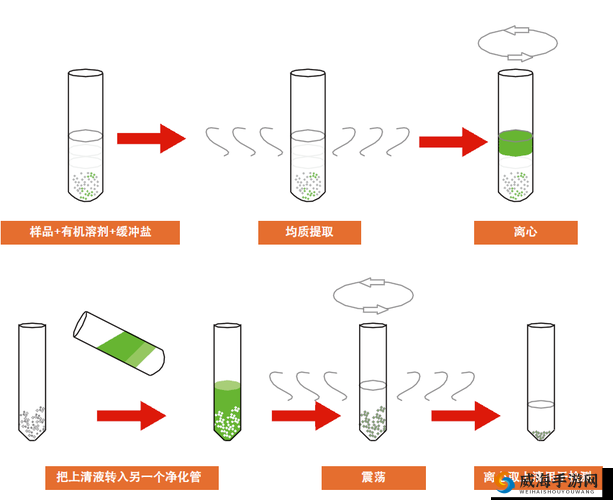 掌握扣水的正确方法:详细解析扣水操作流程及要点