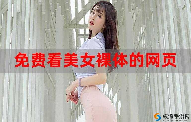 看美女裸体的软件:探索视觉新体验
