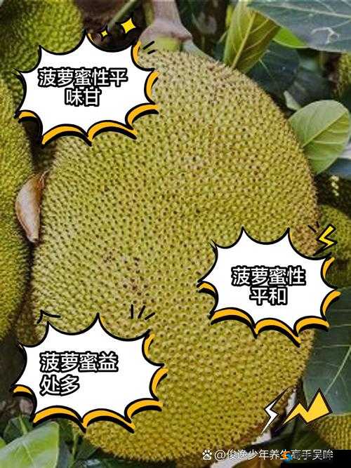亚洲日产菠萝蜜:香甜多汁的热带水果,你尝过了吗?