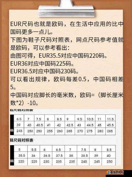 欧亚精品码 1 码 2 一码 3 码:探索时尚与品质的完美结合