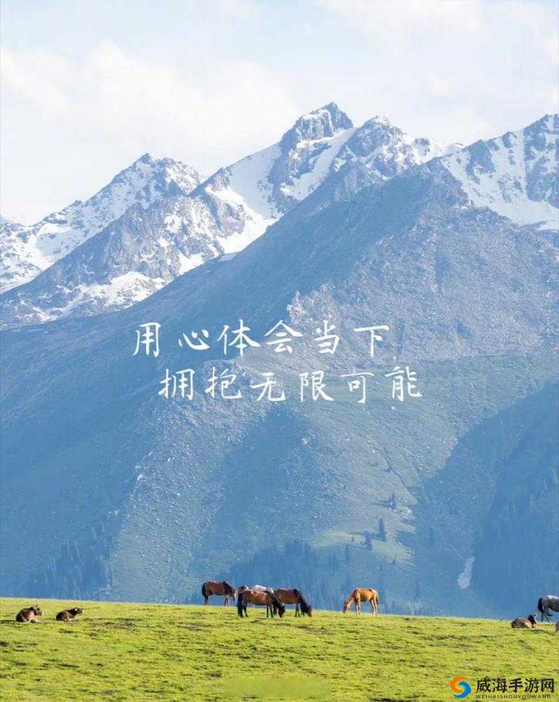 丰裕纵满 2588:探寻人生的无限可能