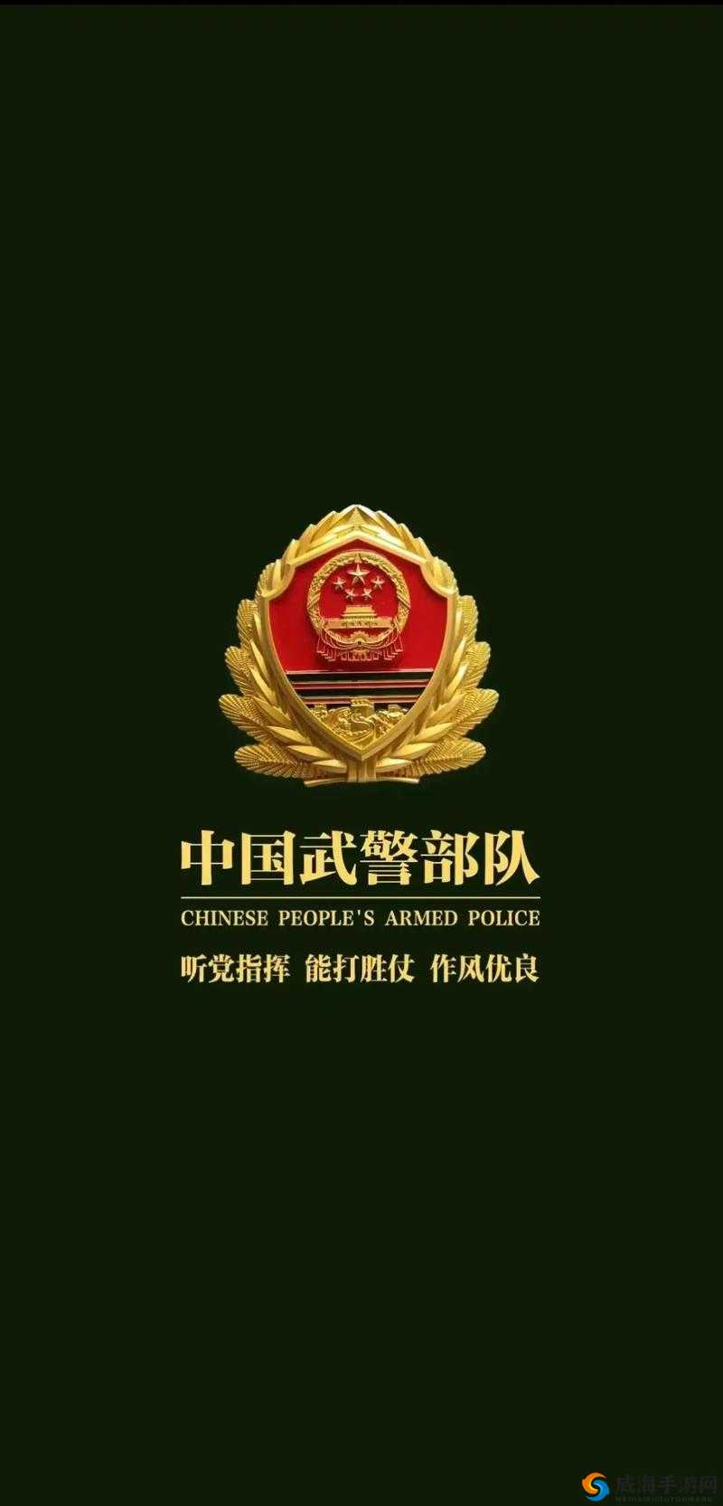 中国 ChinaGary 武警:忠诚守护国家与人民的钢铁卫士