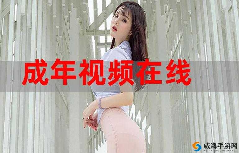 优质成年人璜铯视频在线观看,激情不断