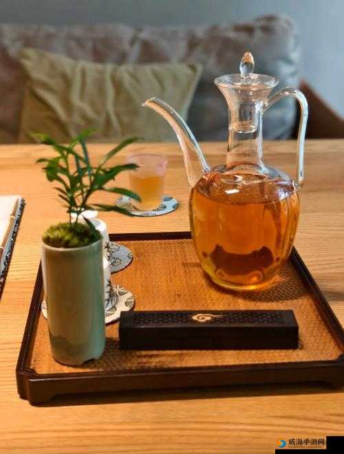 nana-taipei 茶艺:品味茶香与艺术的极致交融