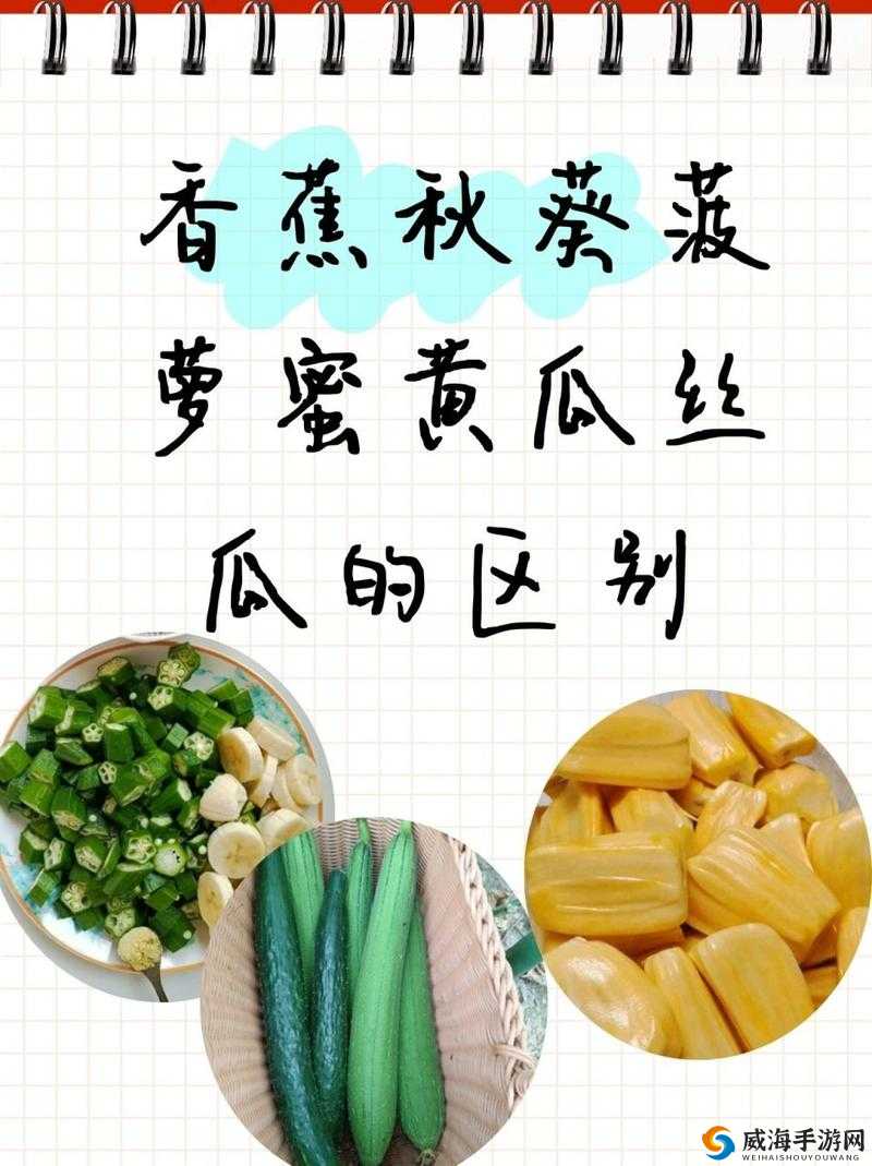 当草莓、香蕉、丝瓜、秋葵和香草相遇:一场丰盛的水果沙拉之旅