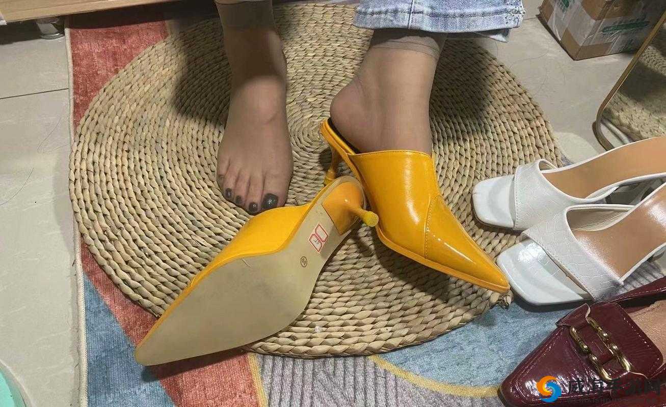 肉丝脚取精打脚戗精彩视频震撼来袭