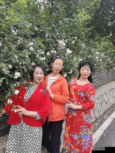 安徽妇连续搡搡行为引发社会广泛关注与热议