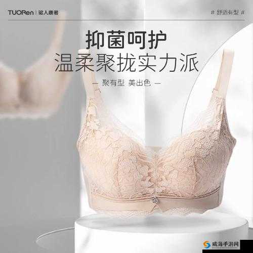 撕开内衣,探索未知的私密领域:奶头与屁股的奇妙触感