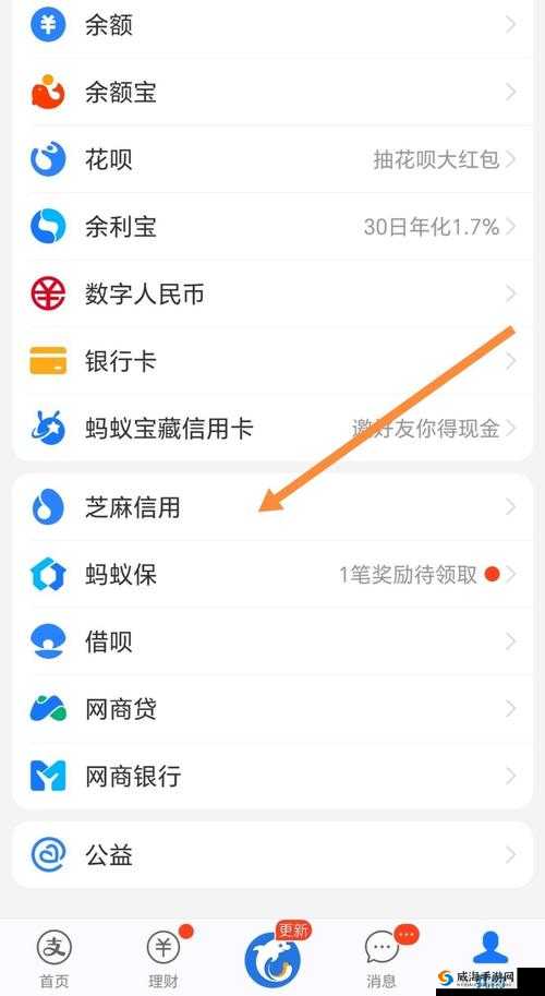 幸福宝 8008 隐藏入口 2024:因敏感或被下架,这些内容你知道吗?