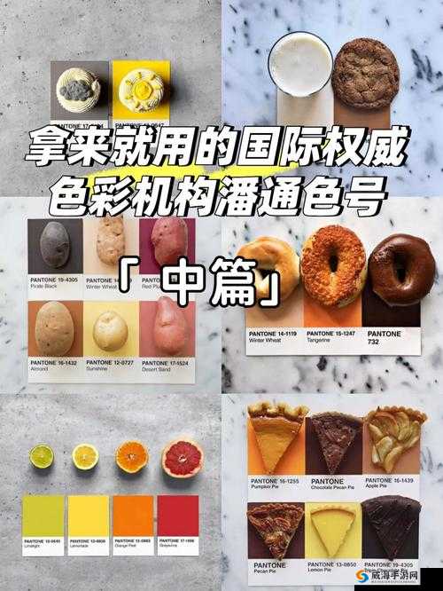 871c 潘通色点亮你的色彩世界:探索无尽绚烂之美