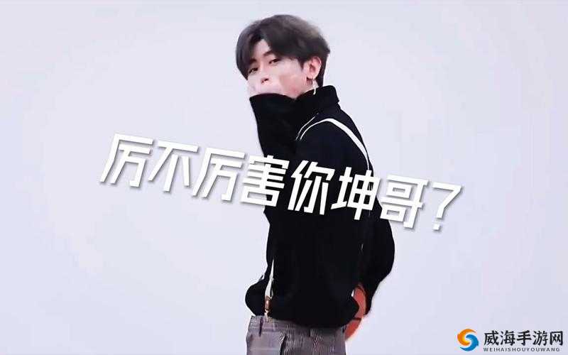 坤哥图片大全：带你领略不一样的坤哥风采世界