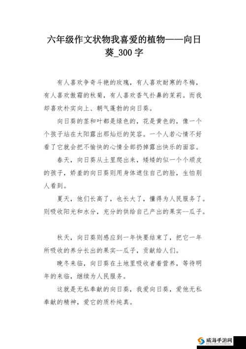 中国式家长向日葵与阳光作文写法及第一选择分析