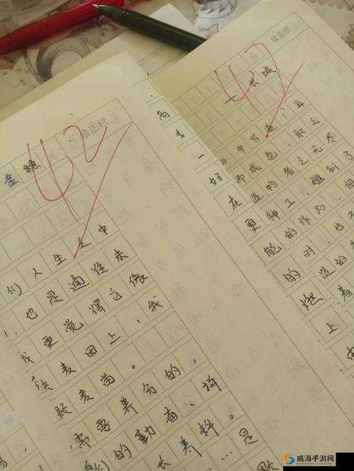 中国式家长在银河的那一年作文写法与分数提高技巧