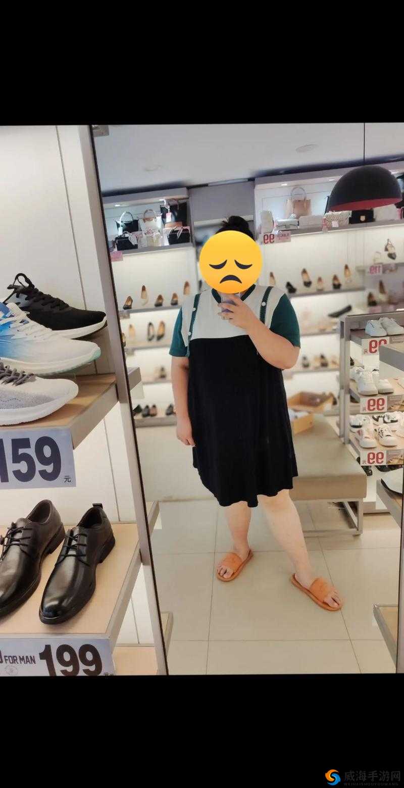 肥婆老 BBB 肥婆 BBBBBB:肥胖引发的人生思考