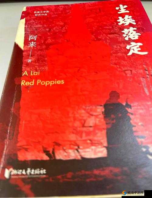 一个傻子弄一个村 350 章：这个傻子在村里的传奇故事