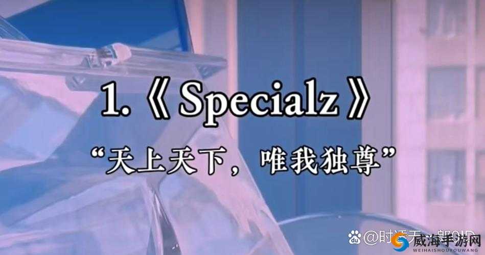 BGMBGMBGM 荷兰 HD 收费通道已关闭实测:真相揭秘