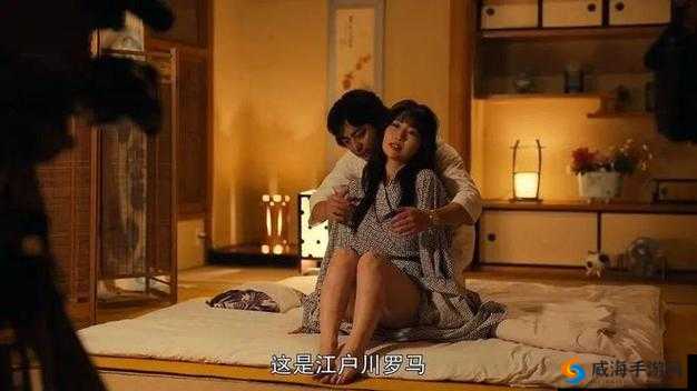 璜铯片艳母：成年人伦理的情感纠葛