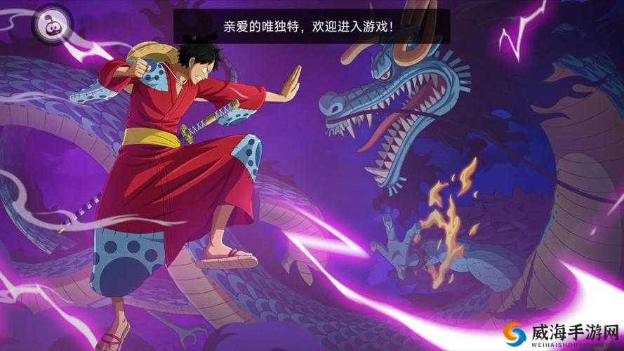航海王的意志，燃烧的挑战与无尽的冒险