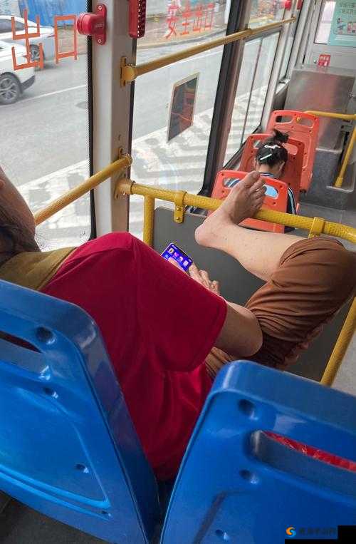 公交车上可否进行干湿你行为之探讨