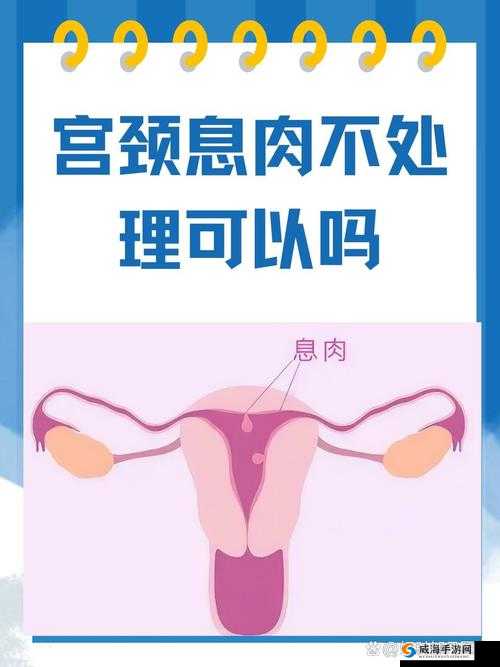 一女不过三精什么意思:关于女性与精明的深入探讨