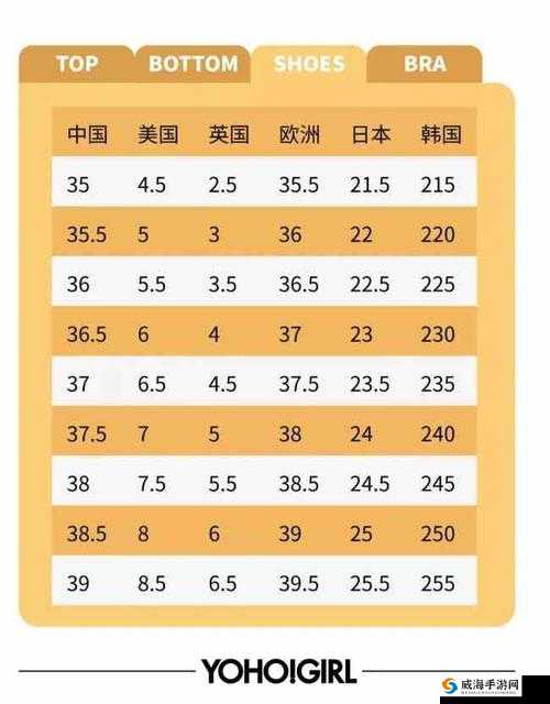 透彻理解欧洲码欧洲尺码 M 高清-探索其背后的精准奥秘
