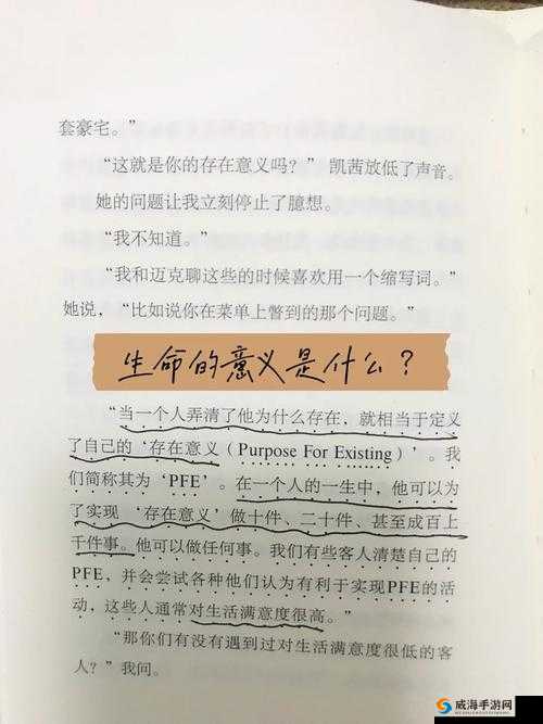 他看向他们的结合处:探寻那隐匿的深层关联