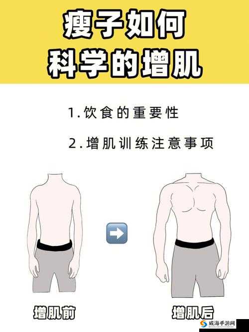 我的漂亮的瘦子 5 有什么特点:集众多优点于一身的完美存在