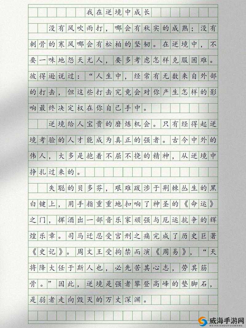 生存日记,在逆境中寻找希望的日常