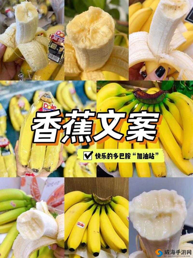 国产香蕉与进口香蕉价格比较新高 市民关注度持续攀升
