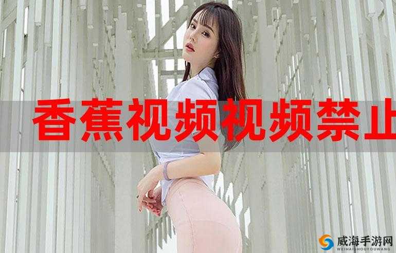 成香蕉视频人 app 直破解版：畅享无限制的精彩视频