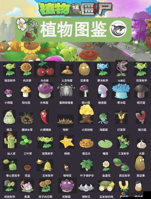 植物大战僵尸杂交版花盆睡莲怎么样:它是如何成为花园焦点的