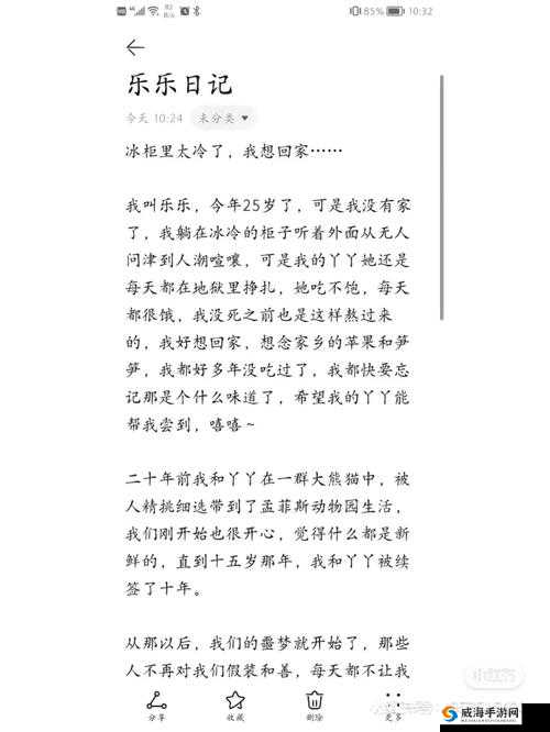 乐乐的精彩 JIANYING 日记：一段独特的成长经历