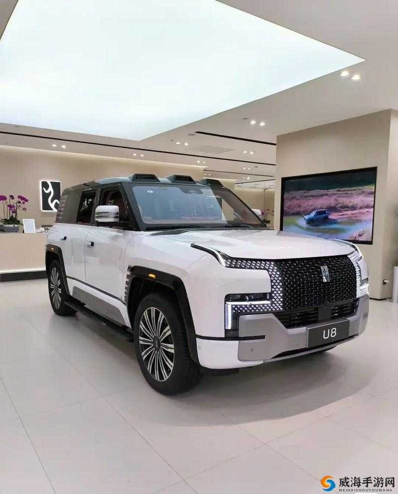 497799 欧洲版的国产 SUV 有哪些-这些你一定要知道